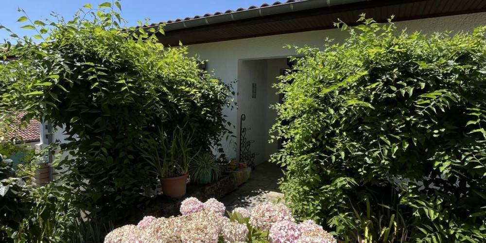 maison à ST PIERRE DU MONT (40280)